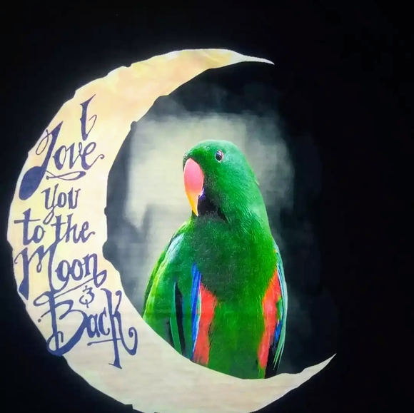 PARROT LOVERS UNISEX T SHIRT. - Picture 2 of 3